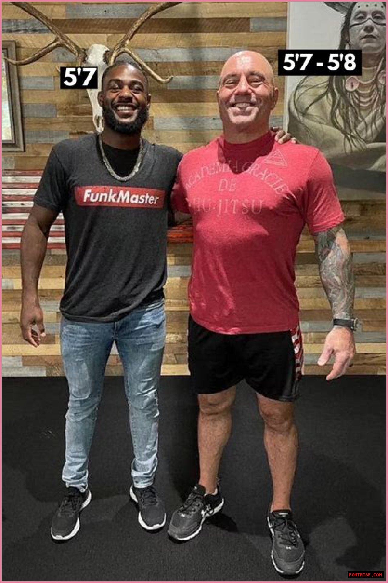 Joe Rogan Height: Everything You Need To Know