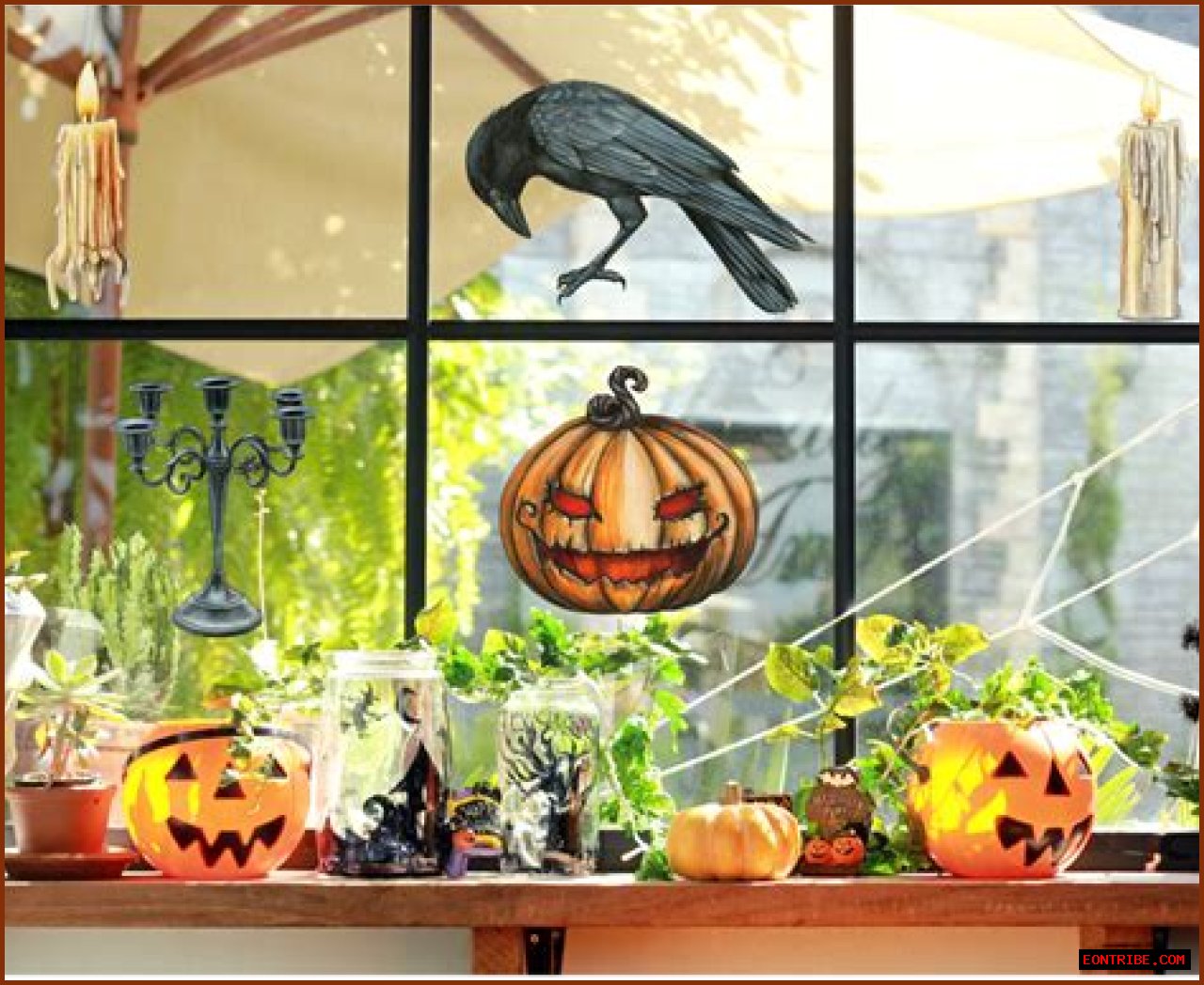 JWoww's Spooktacular Halloween: Celebrating The Season In Style