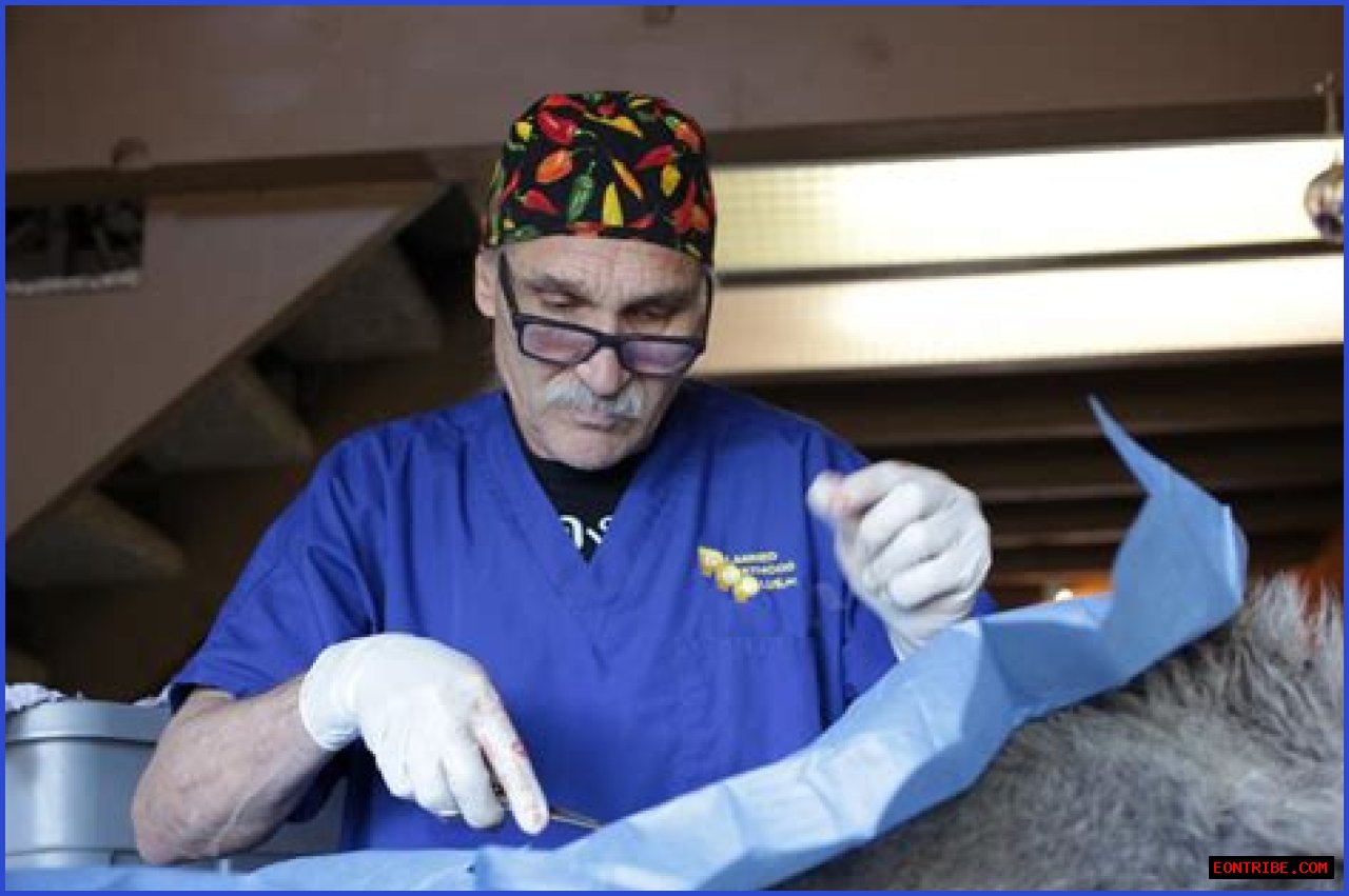 Understanding Dr. Jeff Young's Age And His Impact In Veterinary Medicine