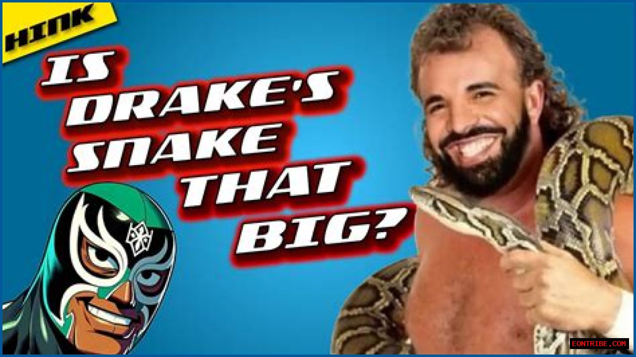 Understanding Drakescans: A Comprehensive Guide